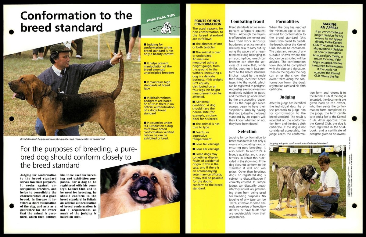 Form Fci Dog Registration Conformation To Breed Standard Tips Dogs