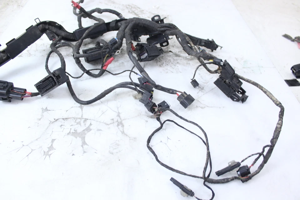 14-18 BMW R1200GS ADVENTURE OEM ARNÉS DE CABLEADO MOTOR TELAR DE CABLE Foto 3 de 4