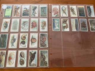 Cigarette cards by Wills Wonders of the Sea 1 set (c1928)