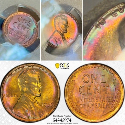 BU 1956 1C PCGS MS65 RB* Rainbow Toned * Lincoln Wheat Cent Penny UNC Luster