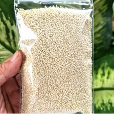 White Sesame Seeds 100g Culinary Ingredient For Cooking