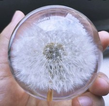 Paperweight Dandilion Globe