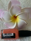 wet n wild***fastdry***Nail Color~DON'T BE SO KOI #242A~0.46 FL OZ/13.5 mL~~NEW — photo 3