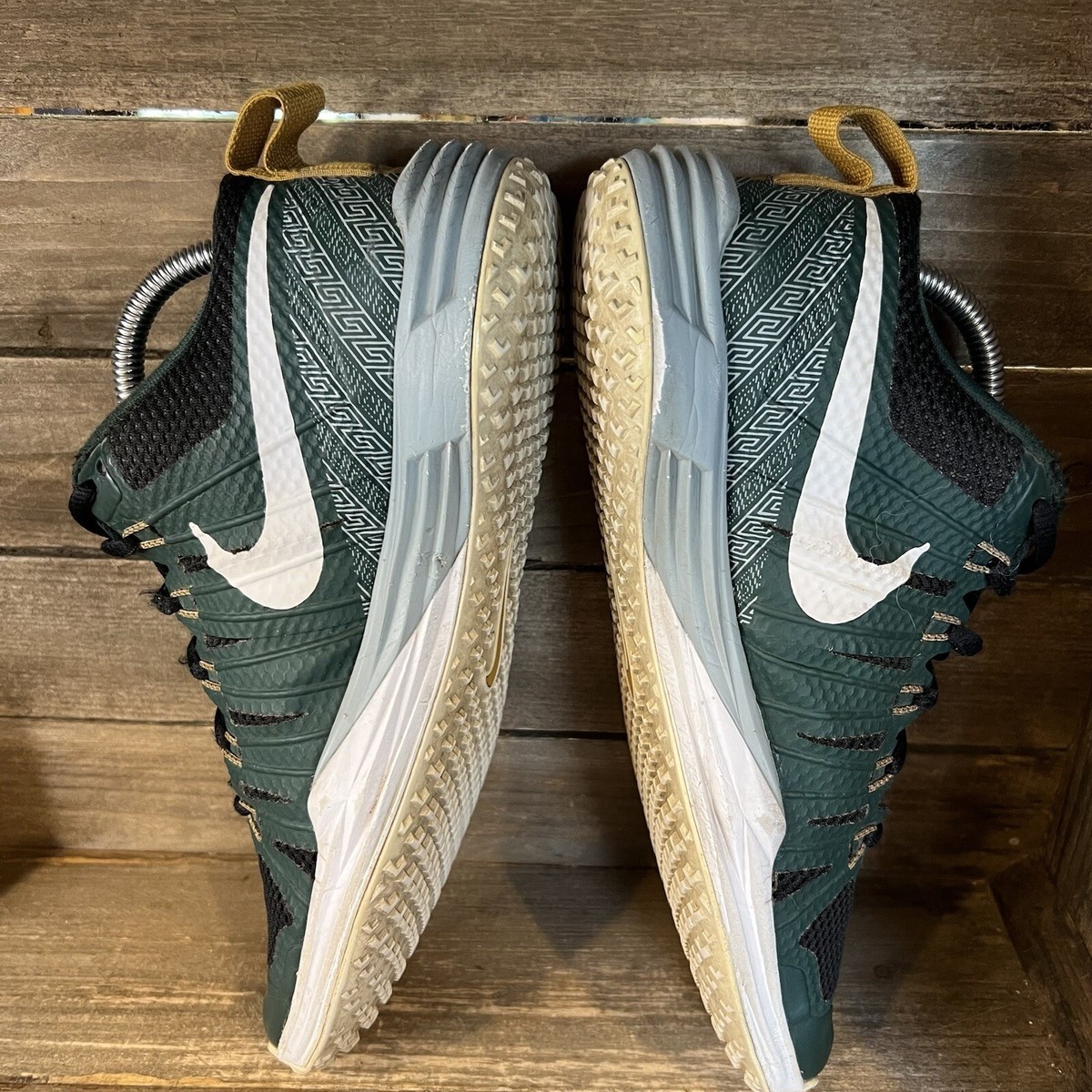 Mens Nike Lunar TR1 LE Michigan State Athletic Shoes 