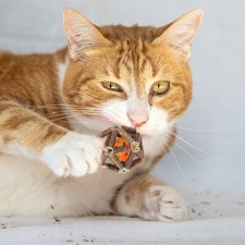 2.6" Universal Cat Plastic Balls Natural Silvervine Stick Cage Ball