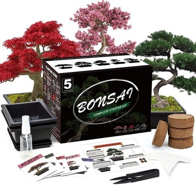 5 Bonsai Tree Kit, Complete Plant Growing Tools Gardening Potted Plants DIY Gift