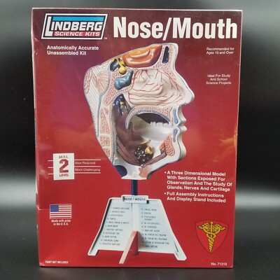 Lindberg Science Nose Mouth Human Anatomy Anatomical 3D Model Kit Made in USA