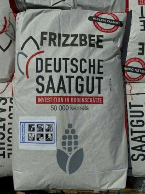 shiso saatgut Seedeo® Shiso / Perilla Mischung grün & rot ca. 200 Samen main image 1