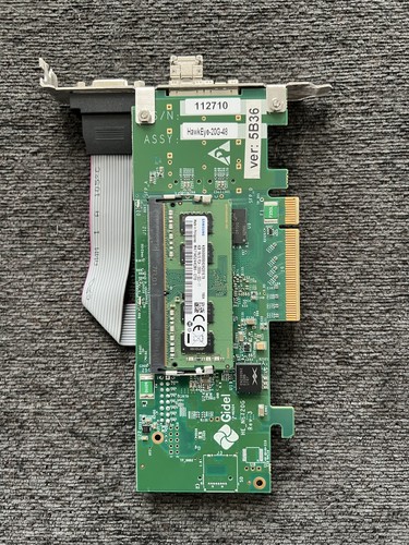 Gidel HawkEye-20G-48 4GB DDR4 Accelerator Card