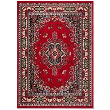 Premium Sakarya Red/Black 4 Ft. X 5 Ft. Medallion Area Rug