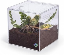 Terrestrial Terrarium - Tarantula Enclosure for Spider Gecko Frog Snail  Sma...