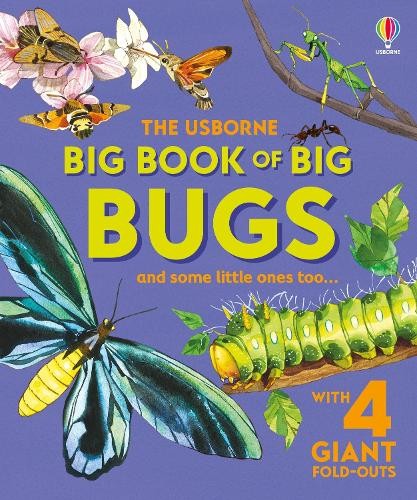 Big Book of Big Bugs by Emily Bone, Fabiano Fiorin - 9781836040255