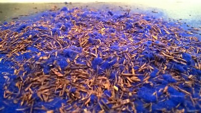 150g Electric Blue Forest Bark ~ Scenic Modeling Scatter Warhammer Shadespire