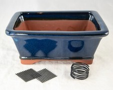 Rectangular Dark Blue Cactsu & Succulent, Bon...