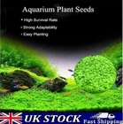 Aquarium Clover Grass Seeds Carpet Landscape Aquatic Water Fish Tank Plant Seeds