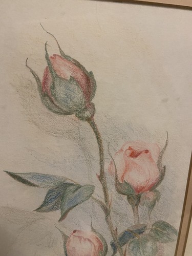 Emma Randolph Original Drawing Pink Roses Framed Signed Washington - Picture 5 of 13