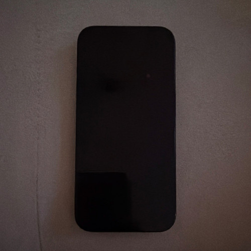 Apple iPhone 15 Pro 256 GB Schwarz Slate Dreifach-Kamera gebraucht