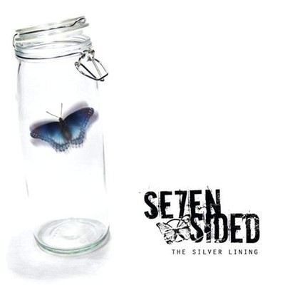 The Silver Lining [Audio CD] [Audio CD]