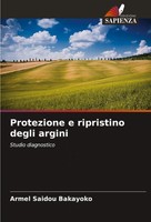 Protezione E Ripristino Degli Argini Studio Diagnostico Armel Saidou Bakayoko