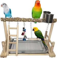 Bird Playground Parrot Playstand Birds Play Stand Wood Exercise Perch Gym Stand