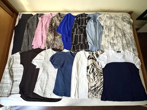 Alfani T Party Saks Fifth MODA Huge Women’s Clothing Lot Tops Blouse Sweater XL