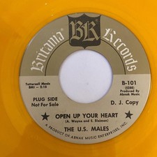 Garage 45 THE U.S. MALES Open Up Your Heart / Come Out Of The Rain Britania