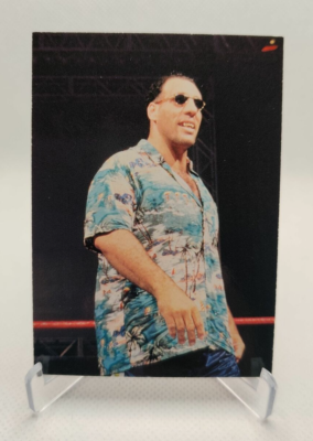 1998 Comic Images WWF Superstarz #44 Giant Silva wrestling card | eBay