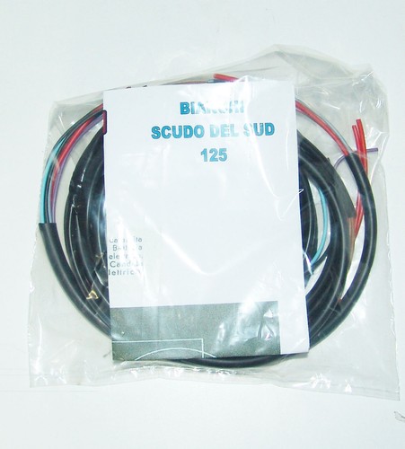 Electric System Wiring bianchi scudo del sud Knitting Pattern - 第 1/1 張圖片
