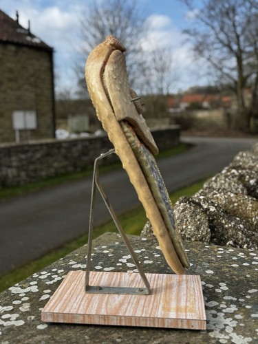 Original vintage Didactic Anatomical Model Of A Liver Fluke Veterinary Vet 1965 - Foto 3 di 16