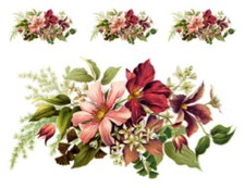 Vintage Image Pink Red Flowers Clementis Transfers Waterslide Decals FL514