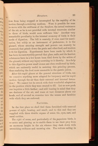 1887 The Birds of Wiltshire Alfred Charles Smith vendre First Edition Half Morocco U...