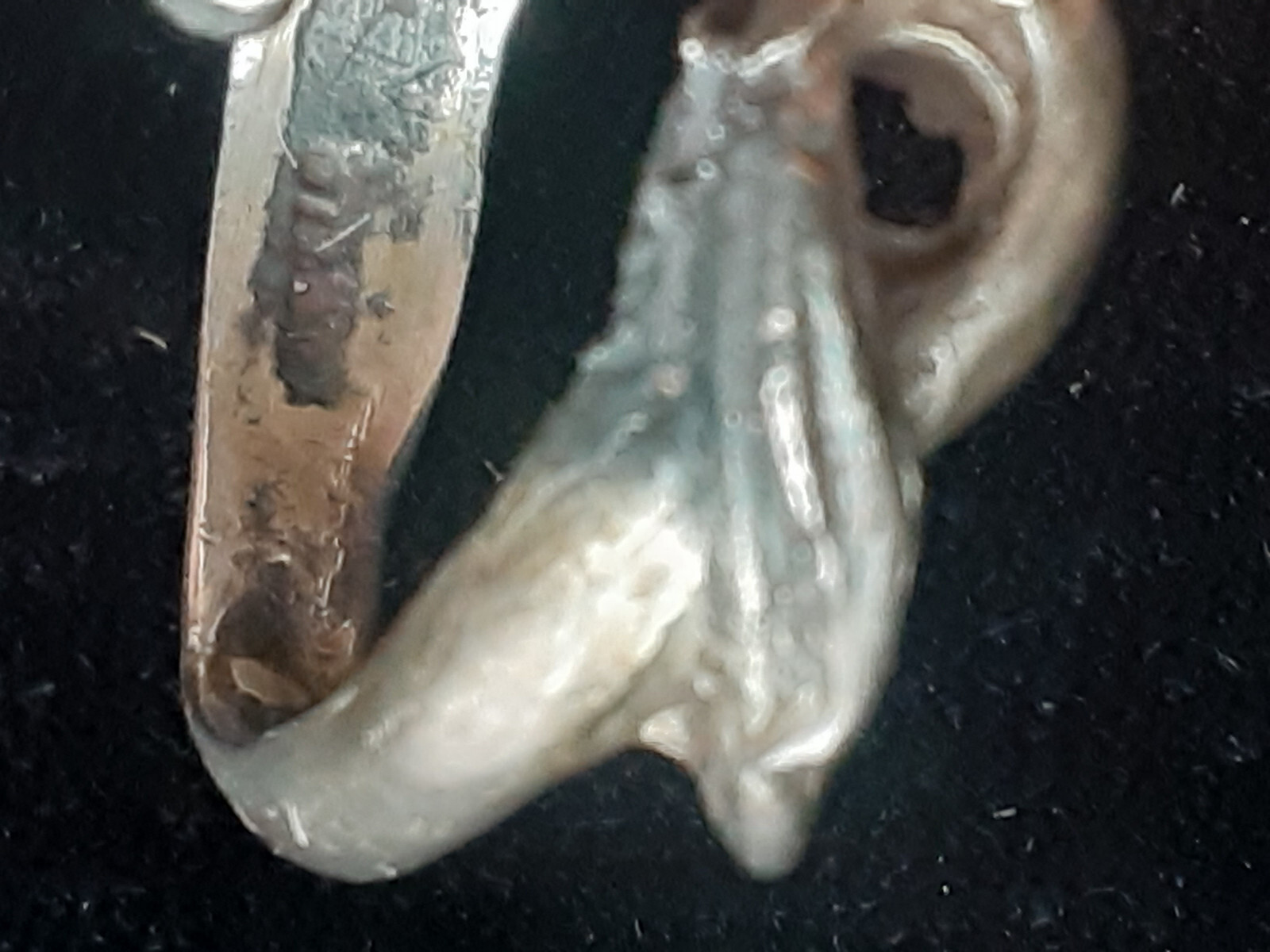 Adjustable stunning silver lion ring - image 5