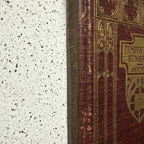 Vintage "TEMPEST and SUNSHINE" Book by Mary J. Holmes, 1923, 246 pages - Picture 4 of 15