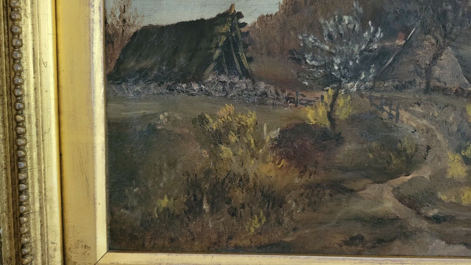 Picture 5 of 12