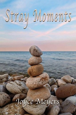 Stray Moments Joyce Meyers Taschenbuch Englisch 2025 Blue Light Press