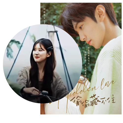 DVD Chinese Drama Hidden Love TV Series Vol. 1-25 End (2023) Eng Sub FreeShip US - Video 1 of 1