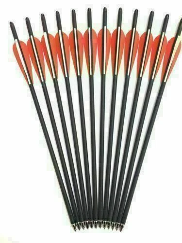 12 piezas flechas de carbono 17"/20"/22" OD 8,8 mm pernos de ballesta o carcaj objetivo caza Foto 4 de 4