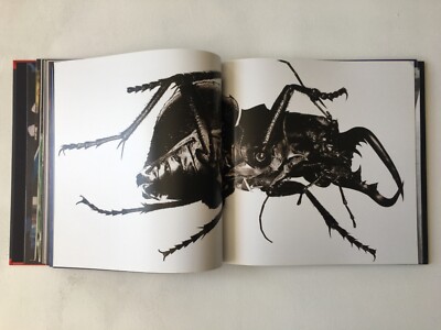 3D and the Art of Massive Attack - Book | eBay UK