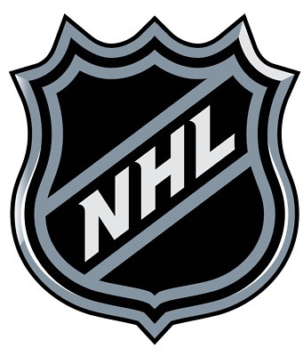 NHL logo sticker weatherproof bumper vinyl decal