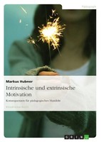 Markus Hubner | Intrinsische Und Extrinsische Motivation. Konsequenzen FüR...