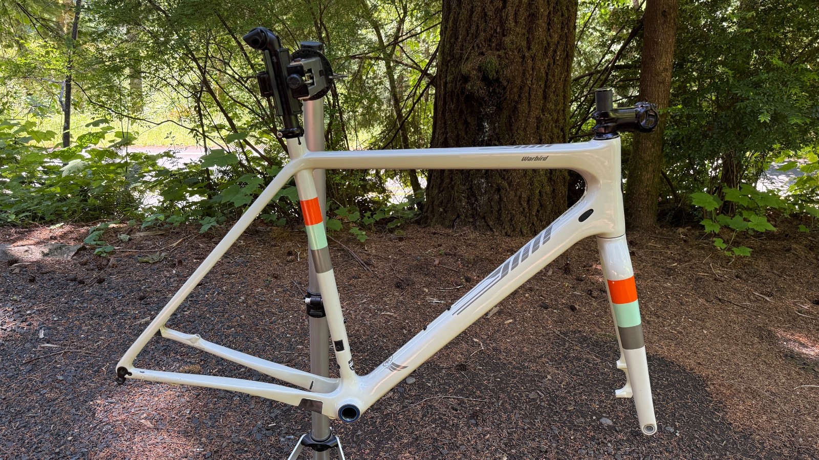 Salsa Warbird Carbon Frameset - 58cm