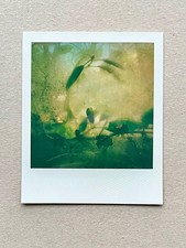 1 x Polaroid, edizione limitata, Color Photo, fotografia, immagine istantanea, arte