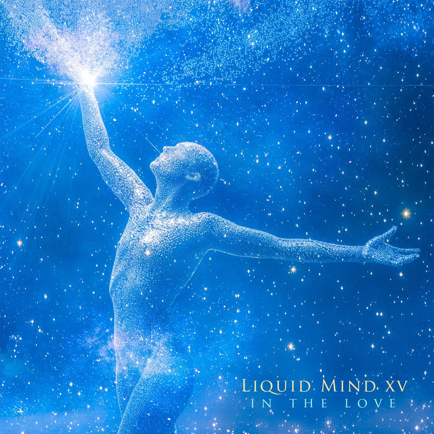 Liquid Mind Liquid Mind XV: In The Love (CD)