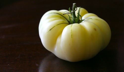200 White Sundae Giant Tomato Seeds Lycopersicon Vegetable Organic Heirloom - Picture 7 of 8