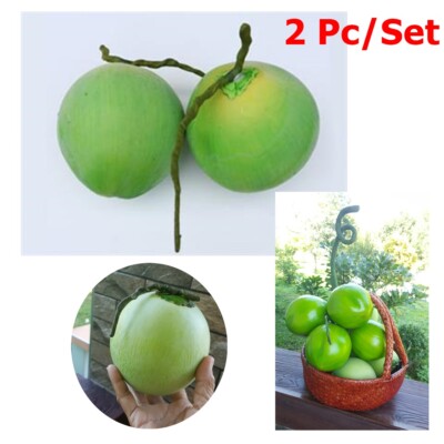 2 x Artificial Fake Coconut fruit  Realistic for Display Home Decor Props.