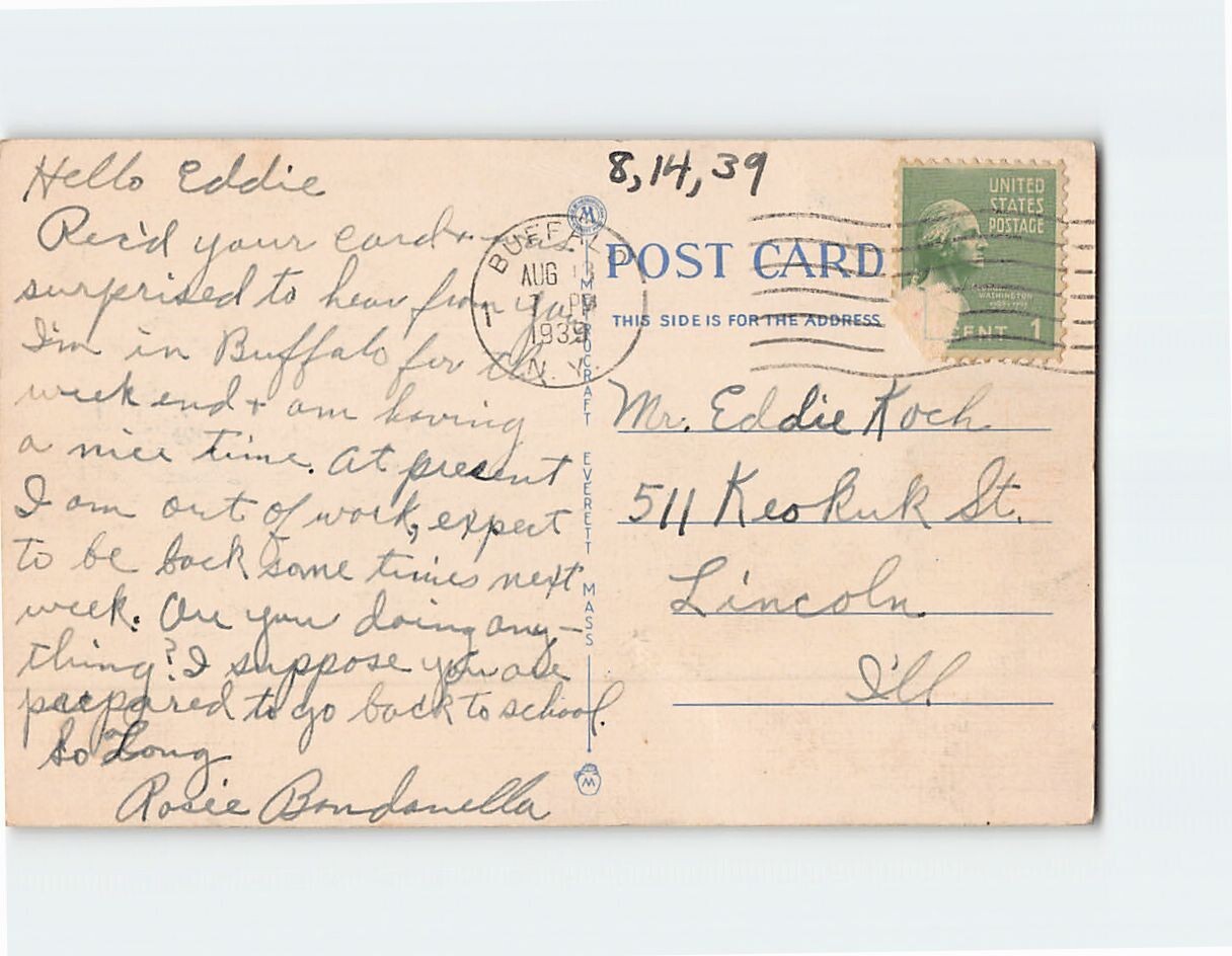 Postcard Albright Art Gallery Buffalo New York USA eBay