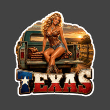 Texas Sticker Vinyl Decal Cowgirl Corset Lifted Truck Country Pinup Girl Texas Sticker Vinyl Decal Cowgirl Corset Lifted Truck Country Pinup Girl