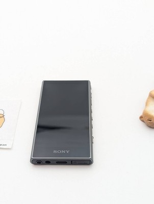 SONY NW-A306 gray WALKMAN 32GB Hi-Res Multilingual OK (JP Model