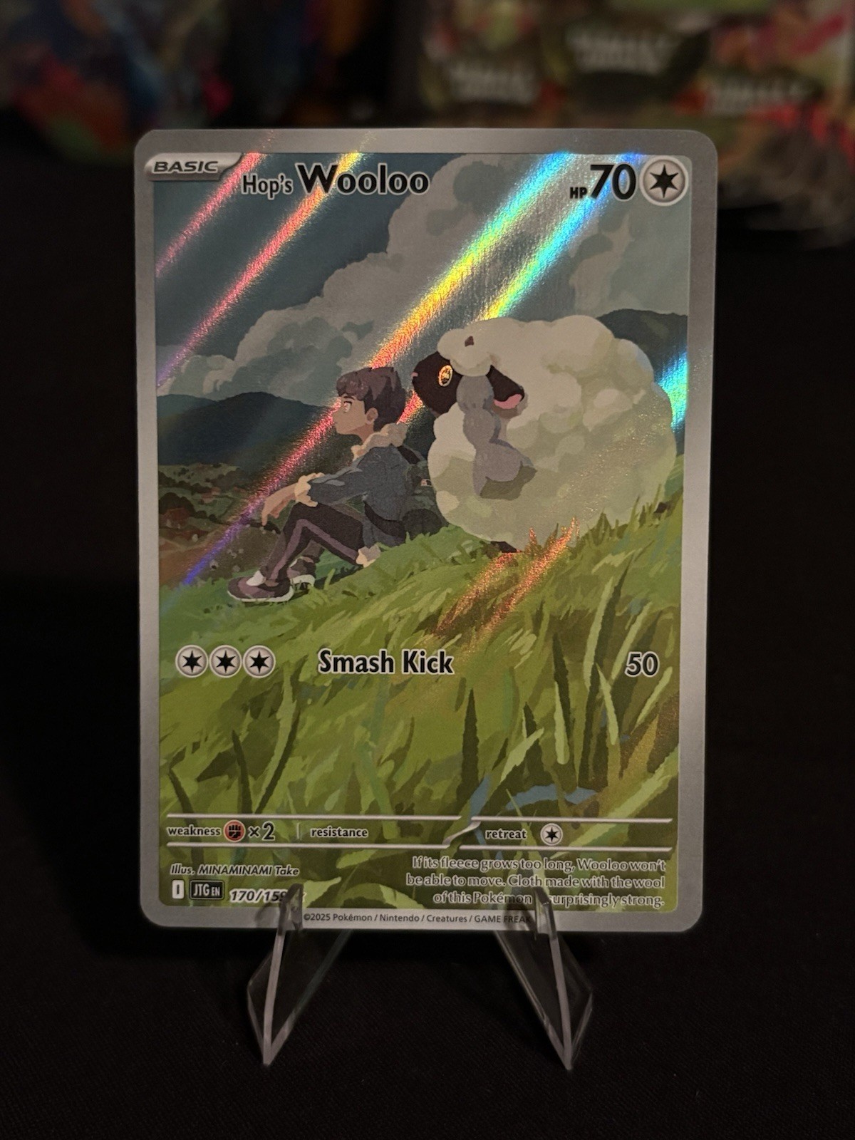Pokemon TCG Hop's Wooloo 170/159 Journey Together Illus. Rare Holo 70 HP Eng