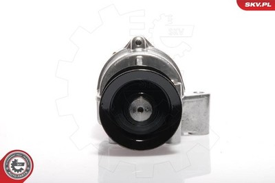 ESEN SKV 18SKV002 Vacuum Pump, Brake System for Ford, Land Rover, LDV